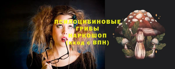 МДПВ Бугульма