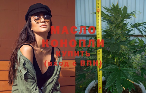 apvp Бородино