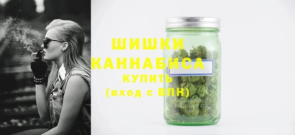 apvp Бородино