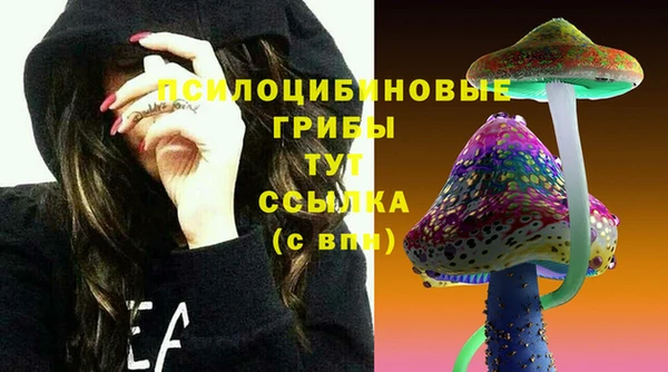 МДПВ Бронницы