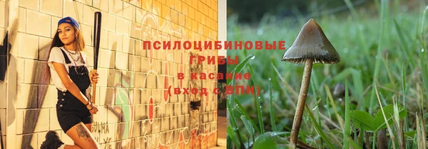 МДПВ Бугульма